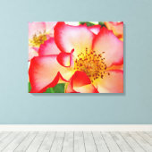 Rose Blumengarten Leinwand Fotografieren (Insitu (Holzboden))