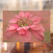 Rose Blush Poinsettias Digitale Kunst Fensteraufkleber (Blatt 2)