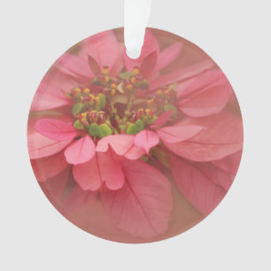 Rose Blush Poinsettias Digitale Kunst Ornament