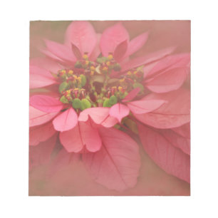 Rose Blush Poinsettien Digitale Kunst Notizblock