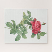 Rose Blüte Blume Vintag Alte Illustration Puzzle (Horizontal)