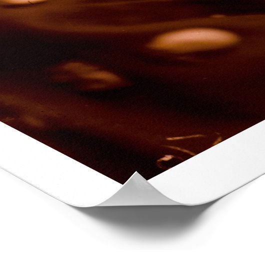 Rose Bompard Bird Poster (Ecke)