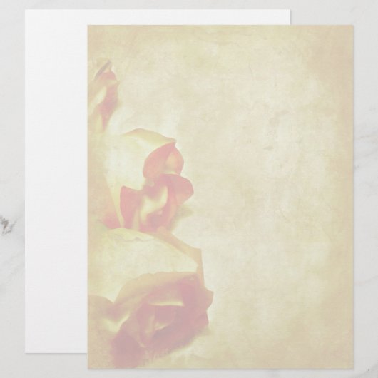 Rose Border Letterhead (Vorne/Hinten)