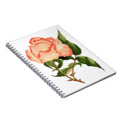 Rose botanische Aquarellfarbe Notizblock (Rechte Seite)
