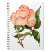 Rose botanische Aquarellfarbe Notizblock (Vorderseite)