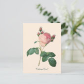 Rose Botanischer Blumenkohl Postkarte (Stehend Vorderseite)
