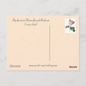 Rose Botanischer Blumenkohl Postkarte (Rückseite)