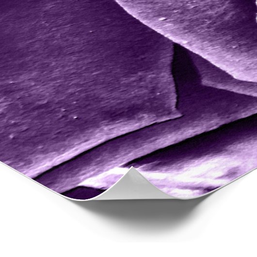 Rose Bouquet Lila Poster (Ecke)