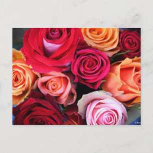 Rose Bouquet Postcard Postkarte