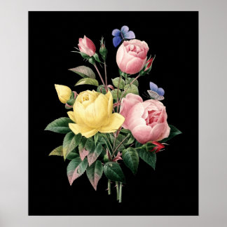 Rose Bouquet Redoute schwarzer Hintergrund Poster