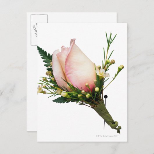 Rose Boutonniere Postkarte (Vorne/Hinten)