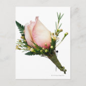 Rose Boutonniere Postkarte (Vorderseite)