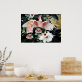 Rose Breasted Cockatoos von Jessie Arms Botke Poster (Küche)