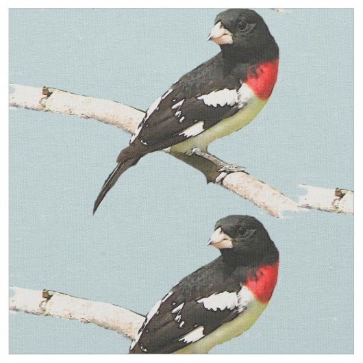 Rose-Breasted Grosbeak Fabric Stoff (Nahaufnahme)