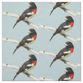 Rose-Breasted Grosbeak Fabric Stoff (Muster)