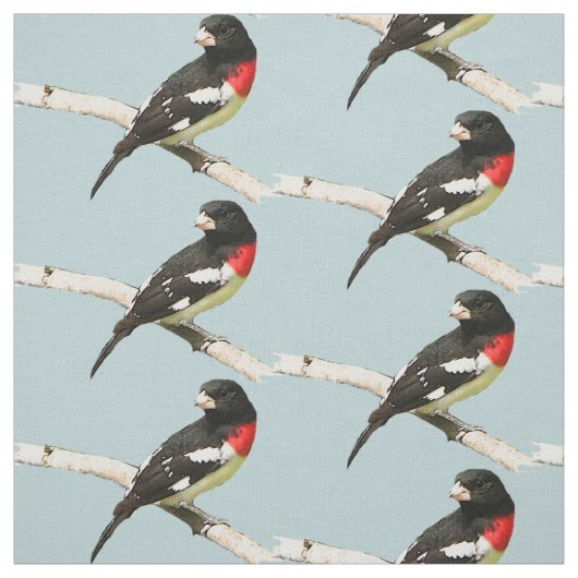 Rose-Breasted Grosbeak Fabric Stoff (Muster)