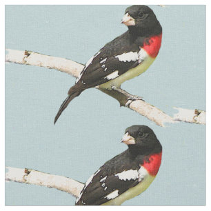 Rose-Breasted Grosbeak-Gewebe Stoff
