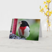 Rose breasted Grosbeak Karte (Gelbe Blume)