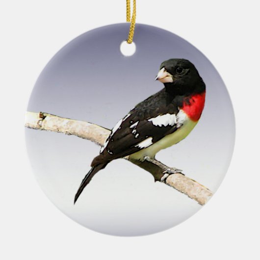 Rose-breasted Grosbeak Keramikornament (Vorne)