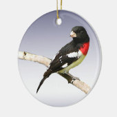 Rose-breasted Grosbeak Keramikornament (Links)