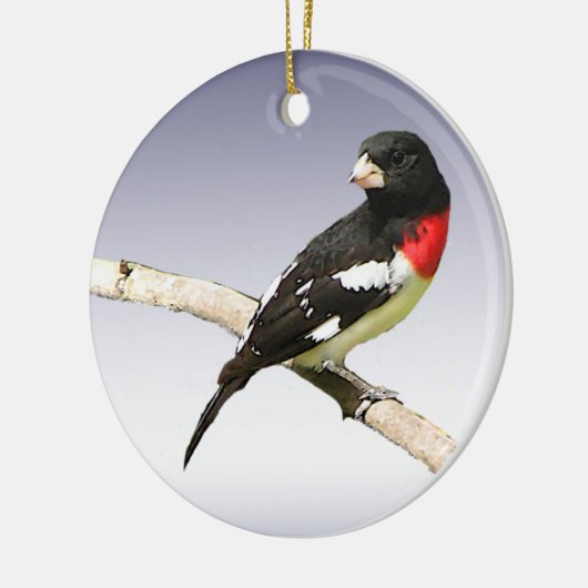 Rose-breasted Grosbeak Keramikornament (Links)