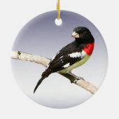 Rose-breasted Grosbeak Keramikornament (Hinten)