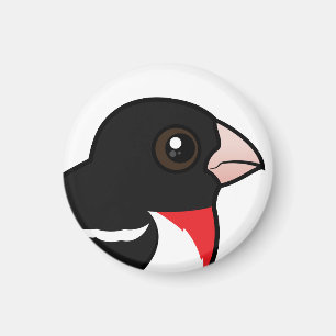 Rose-breasted Grosbeak Magnet