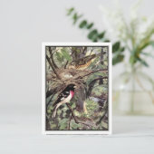 Rose Breasted Grosbeak - Robert Bruce Horsfall Postkarte (Stehend Vorderseite)