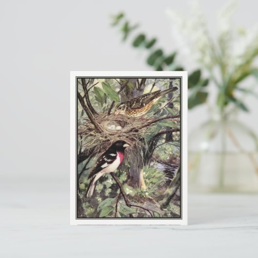 Rose Breasted Grosbeak - Robert Bruce Horsfall Postkarte (Stehend Vorderseite)