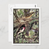 Rose Breasted Grosbeak - Robert Bruce Horsfall Postkarte (Vorne/Hinten)