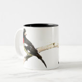 Rose-breasted Grosbeak Zweifarbige Tasse (Vorderseite Links)