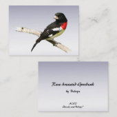 Rose-Brustbarsch Visitenkarte (Vorne/Hinten)