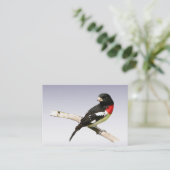 Rose-Brustbarsch Visitenkarte (Stehend Vorderseite)