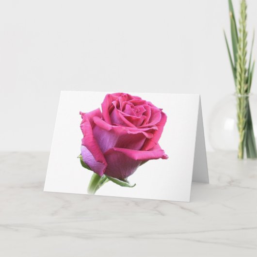 Rose Bud Card Rosa Feiertagskarte (Vorderseite)