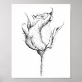ROSE BUD POSTER (Vorne)