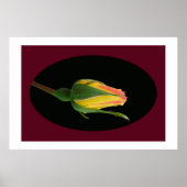 Rose Bud Poster (Vorne)