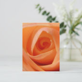 Rose Bud Postkarte (Stehend Vorderseite)