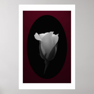 Rose Bud (Schwarz & Weiß) Poster