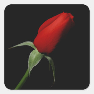 Rose Bud Stickers - Hochzeiten Umschlag Aufkleber