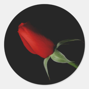 Rose Bud Stickers - Hochzeitlicher Umschlag Aufkle