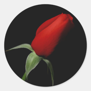 Rose Bud Wedding RSVP Einladung Umschlag Aufkleber