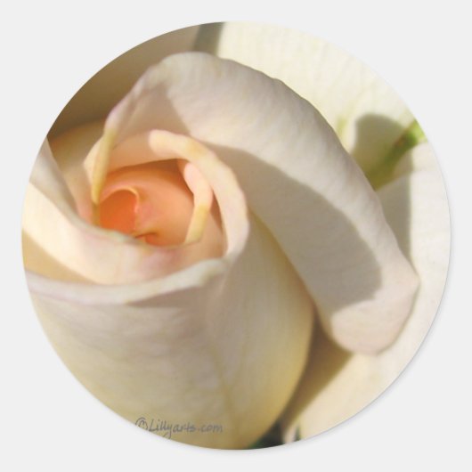 Rose Bud Wedding Umschlag Aufkleber (Vorderseite)