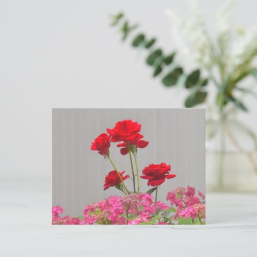 Rose-Buds, die aus Hydrangea-Spitzen-Kappen ausbre Postkarte (Stehend Vorderseite)