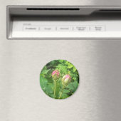 Rose Buds Magnet (In Situ (Geschirrspüler))
