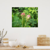 Rose Buds Poster (Küche)