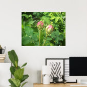 Rose Buds Poster (Heimbüro)