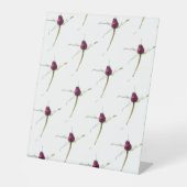 Rose Buds,  Sockelschild (Vorderseite)