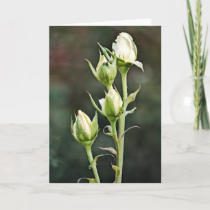 Rose Bug Bunch Art Note Card Karte