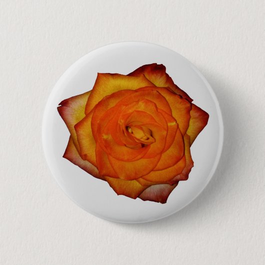 Rose Burnt Orange Button (Vorderseite)
