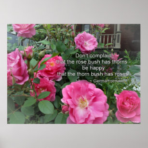 Rose Bush glücklich rosa Rosen Zitat deutsches Spr Poster